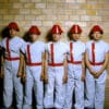 Devo: деэволюция