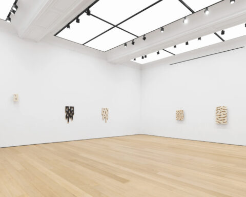 Installation view: Donald Moffett: Snowflake, Alexander Gray Associates, New York, 2025